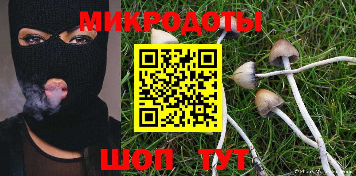 Галлюциногенные грибы GOLDEN TEACHER Железноводск