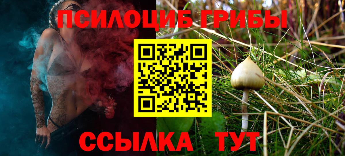 Псилоцибиновые грибы мухоморы  Вход с VPN  Железноводск 