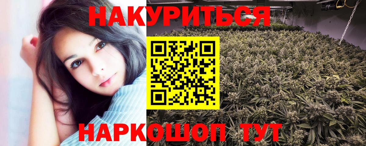 Канабис конопля Железноводск